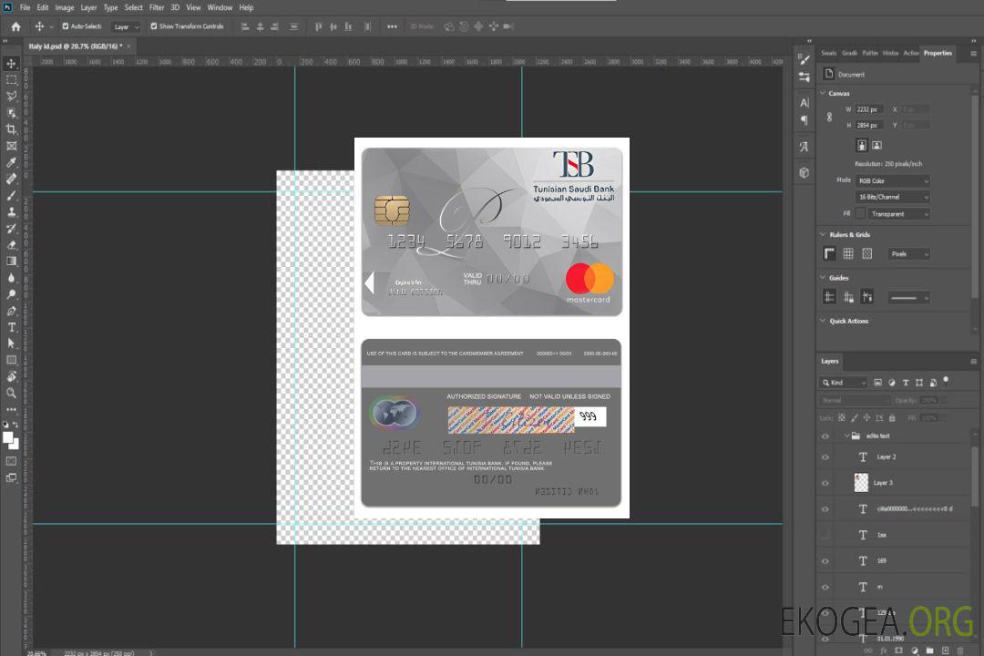 Tunisie International Tunisie Banque nationale platine mastercard template Tunisie International Tunisie Banque nationale platine mastercard template